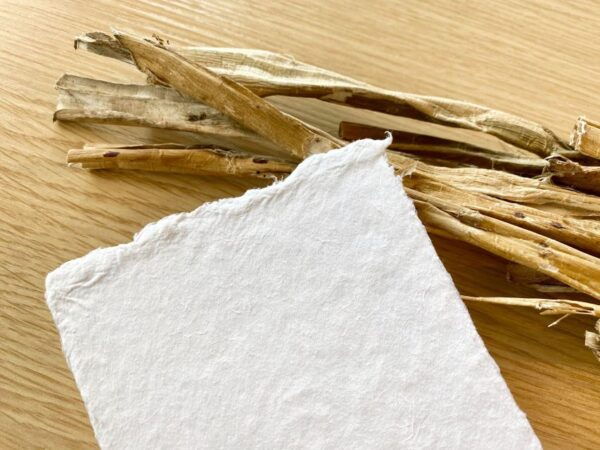 Kimono Artisans' Experience - Dyeing Japanese Paper Postcard - Common Questions