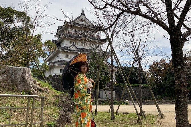 Kimono Dressing & Tea Ceremony Experience at a Beautiful Castle - Additional Information and Policies