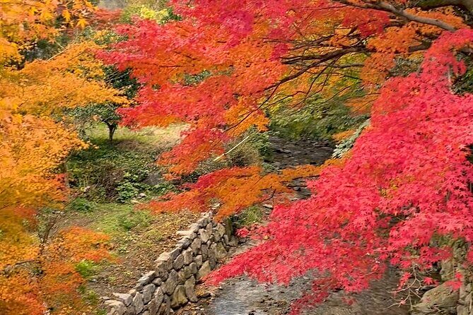 Kimono Experience in Akizuki Castle Town - Good To Know