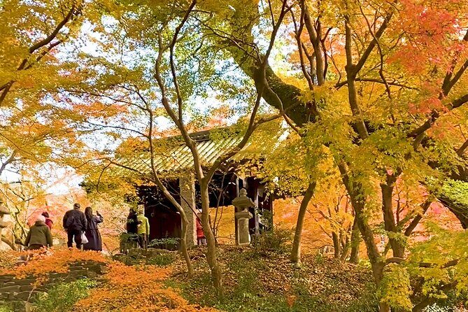 Kimono Experience in Akizuki Castle Town - An In-Depth Look at the Kimono Experience in Akizuki Castle Town