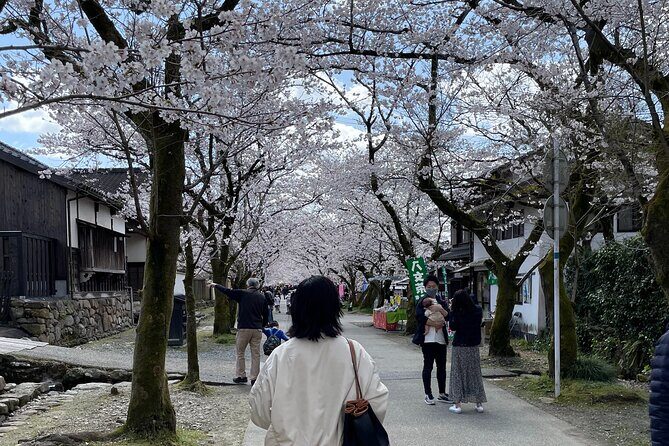 Kimono Experience in Akizuki Castle Town - Who This Tour Is Best For