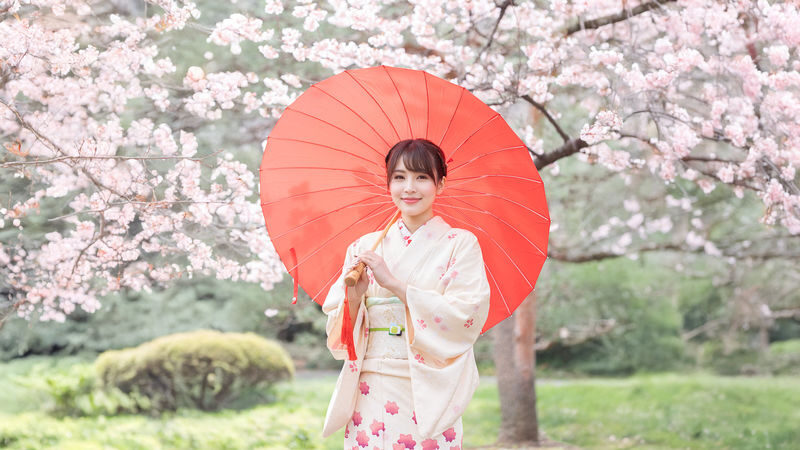 Kimono Rental inside Shinjuku Gyoen National Garden: KOUICHI STORE - Price, packages, and what represents good value