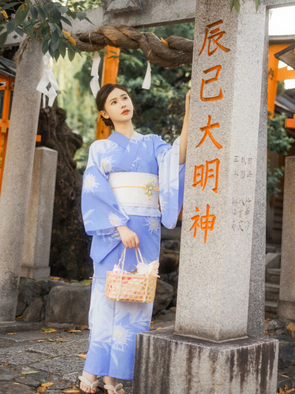 Kimono Rental (Kyoto/Provided by Kawai) - Who will get the most from Kawai