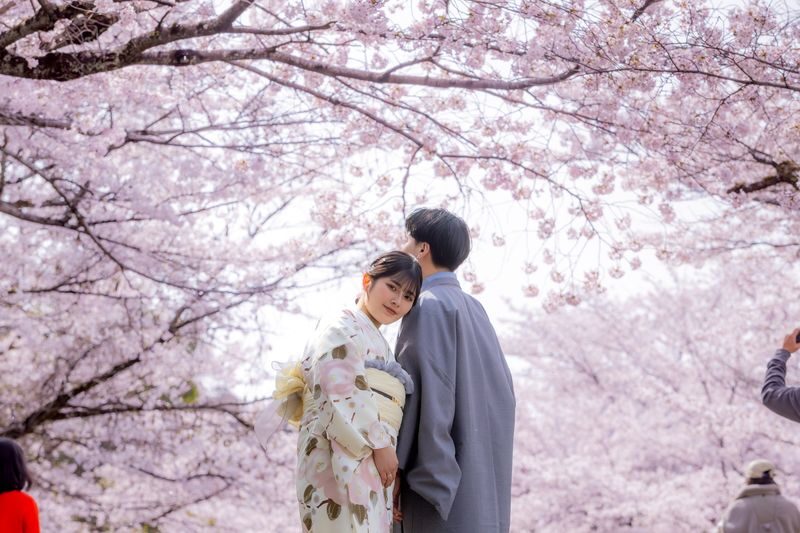 Kimono Rental (Provided by Kyoto / Kyoto Kimono Rental Yumeyakata) - Seasons, comfort, and the return deadline