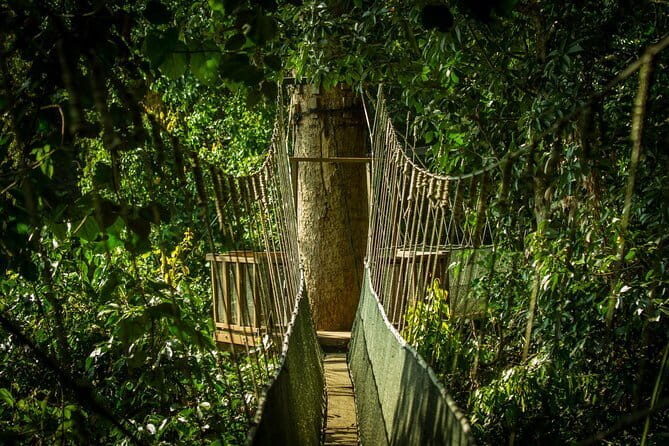 Kinabalu National Park Tour - Journey and Logistics: What to Expect