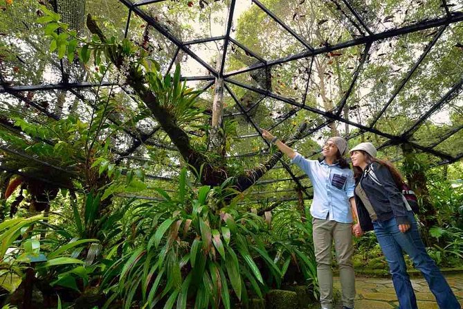 Kinabalu National Park Tour With Poring Hot Springs - Good To Know