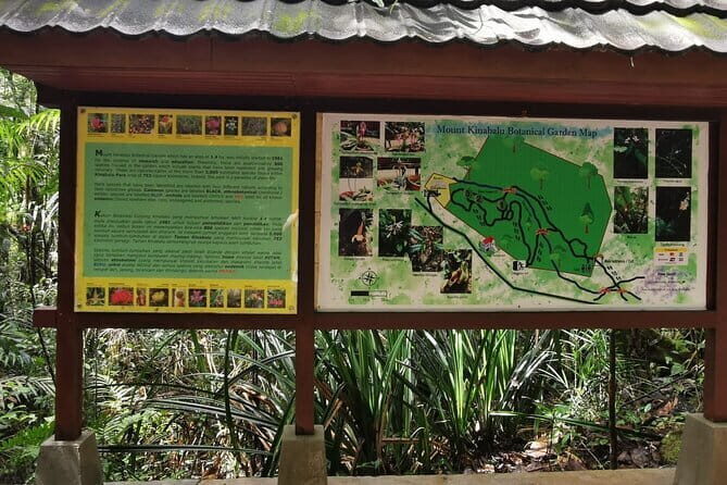 Kinabalu Park And Poring Hot Spring Private Day Tour - A Closer Look at the Itinerary