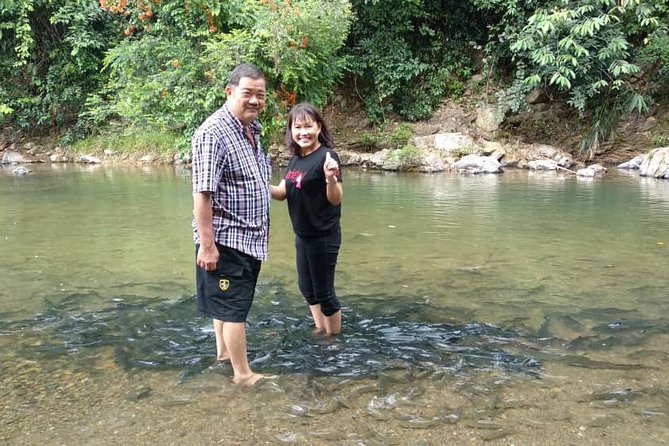 Kinabalu Park Day Tour - Good To Know