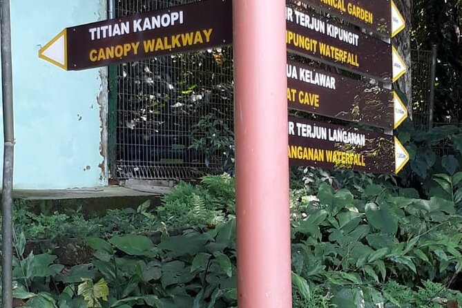 Kinabalu Park Day Tour - Transportation