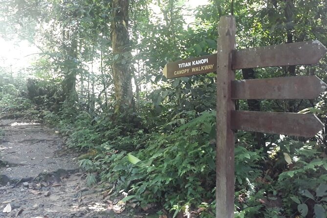 Kinabalu Park Day Tour - Customer Reviews