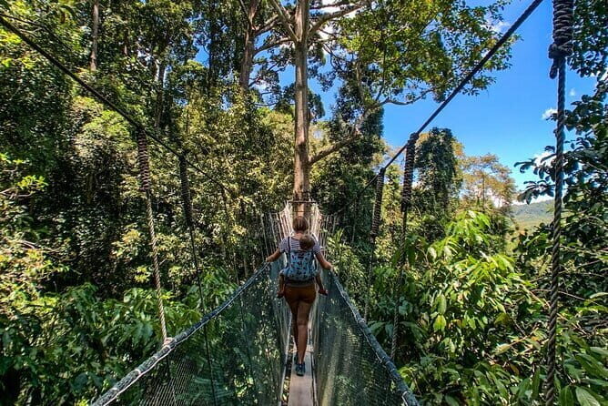 Kinabalu Park, Desa Dairy Farm & Poring Hot Springs Tour - An In-Depth Look at the Journey