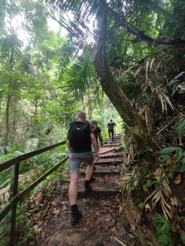 Kinabalu Park & Poring Hot Spring Day Tour in Sabah - Is the price fair for this day out?