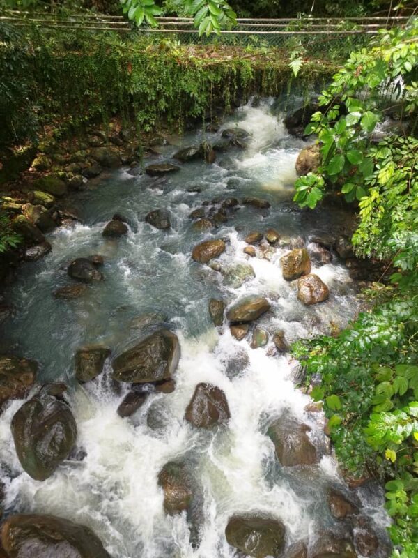 Kinabalu Park & Poring Hot Spring Day Tour in Sabah - Who should book this tour?