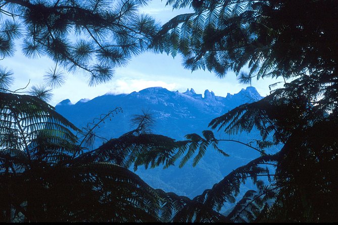 Kinabalu Park & Poring Hot Spring Tour - Inclusions and Exclusions