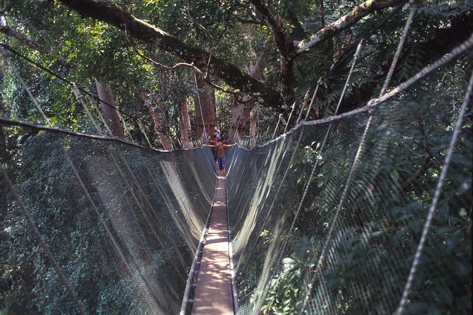 Kinabalu Park & Poring Hot Spring Tour - Traveler Recommendations