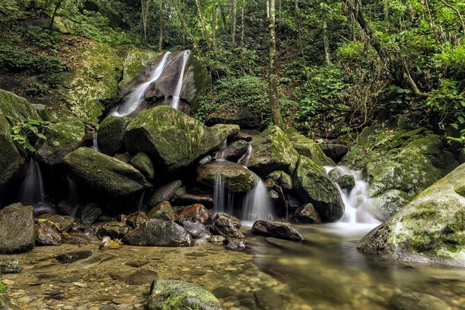 Kinabalu Park & Poring Hot Springs Tour From Kota Kinabalu - Good To Know