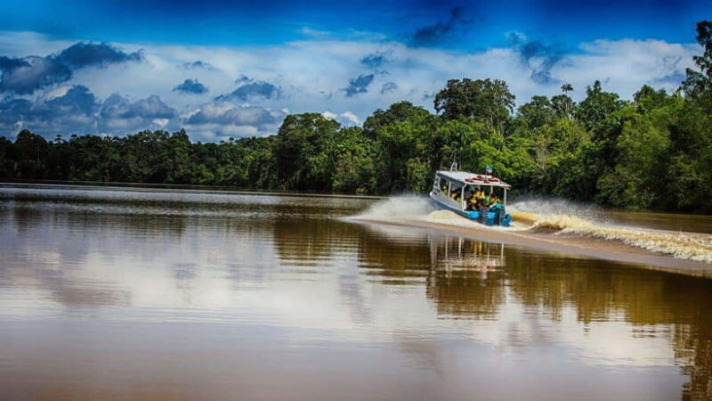Kinabatangan River Trip from Sandakan with Lunch Included - The Value of This Tour
