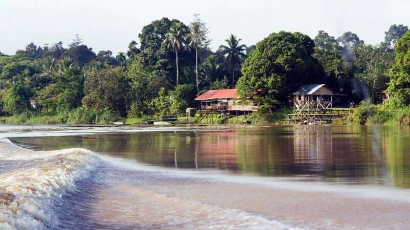 Kinabatangan River Trip from Sandakan with Lunch Included - FAQ
