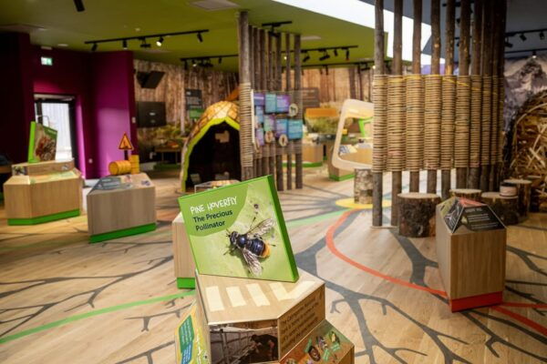 Kincraig: Highland Wildlife Park Entry Ticket - Elevating the Conservation Experience