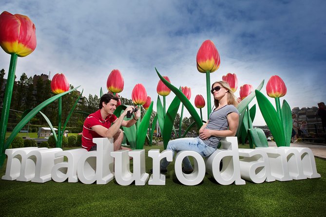 Kinderdijk and the Hague Small-Group Tour With Mauritshuis, Escher or Madurodam - Reviews and Feedback