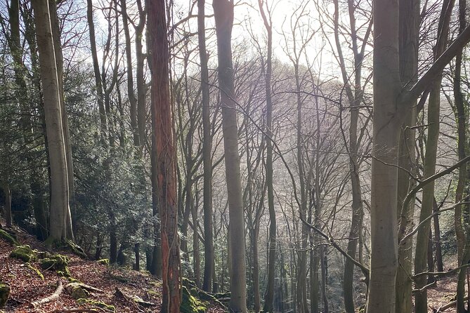 King Arthurs Wye Valley Walk - Riverside Woodland Adventures - Tips and Recommendations