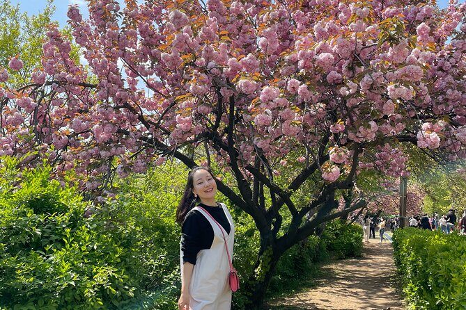 King Cherry Blossom Trail with Starfield One Day Tour from Seoul - Final Thoughts