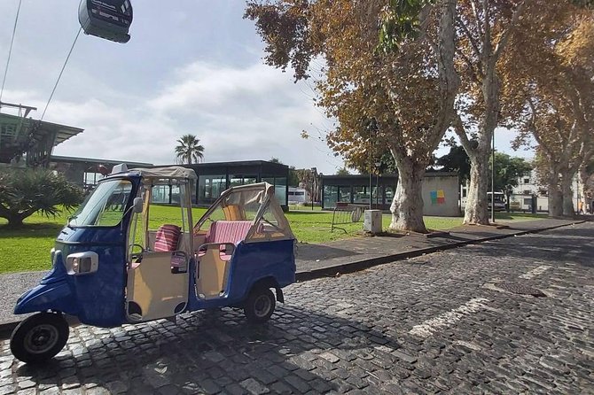 King Christ - Future Developments for King Christ