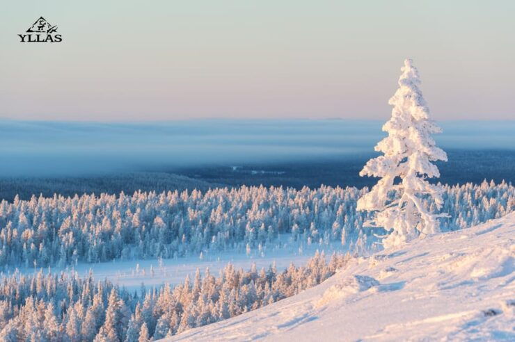 King of Ylläs: Snowmobiling to the Hill - Good To Know