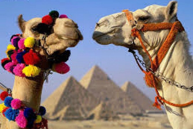 King Tut Egypt : 6 Days Cairo and Luxor Guided Tours & Overnight Train - Tour Highlights