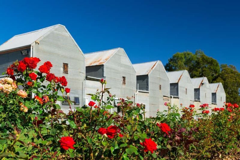 King Valley: Pizzini Wines Sparkling Italian High Tea - FAQs