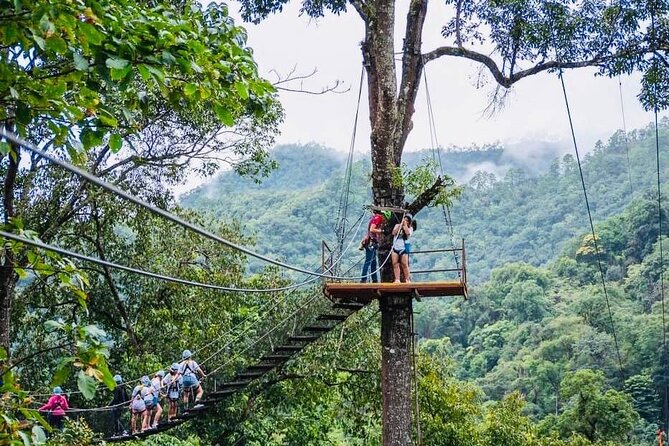 Kingkong Smile Zipline Adventure Tour From Chiang Mai - The Sum Up