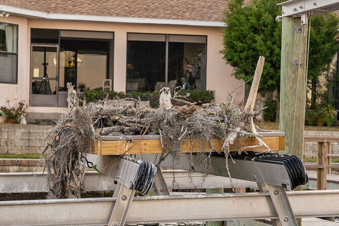 Kings Bay Crystal River Eco Cruise - FAQs