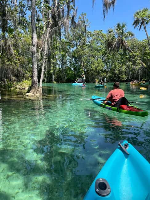 Kings Bay, Crystal River: Gentle Sunrise Manatee Kayak Tour - Good To Know