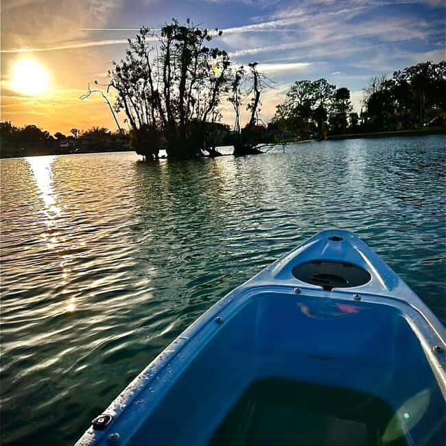 Kings Bay, Crystal River: Gentle Sunrise Manatee Kayak Tour - Practical Details and Tips