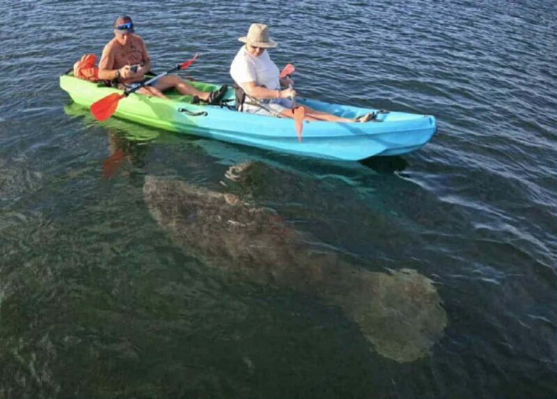 Kings Bay, Crystal River: Gentle Sunrise Manatee Kayak Tour - Frequently Asked Questions