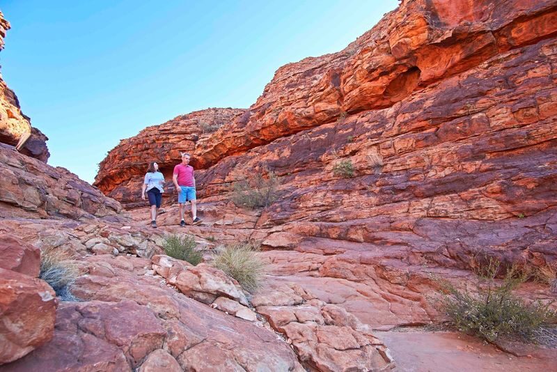 Kings Canyon and Outback Panoramas Tour - The day starts before dawn
