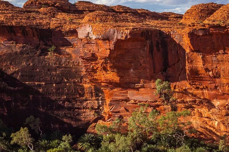 Kings Canyon and Outback Panoramas Tour - Prepare well for the walk