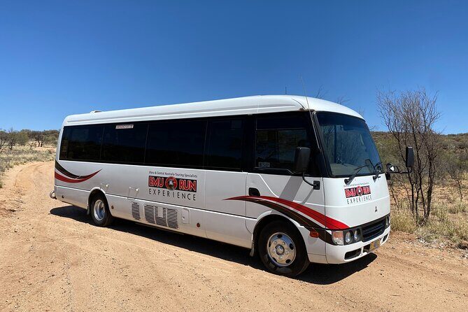 Kings Canyon to Alice Springs Transfer - Good To Know