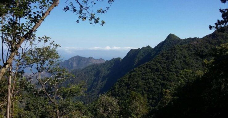 Kings Levada (Ribeiro Bonito) - Activity Details
