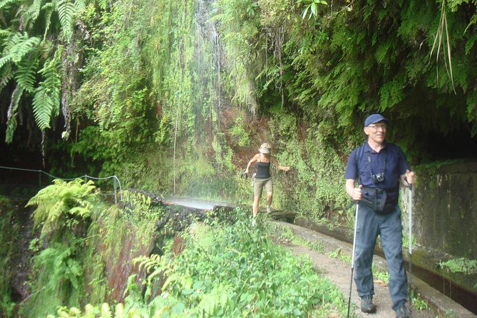 Kings Levada Walk Sao Jorge Native Forest - Highlights of the Walk