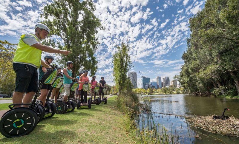 Kings Park Botanic Garden Segway Tour in Perth - The memorial avenue and Swan River outlooks