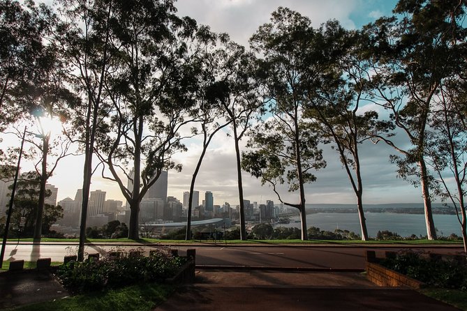 Kings Park Botanicals And Beyond - Overview and Highlights