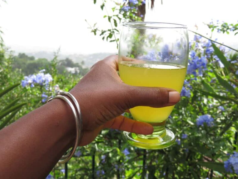 Kingston Blue Mountains Tour with Coffee Tasting - An Inside Look at the Kingston Blue Mountains Tour