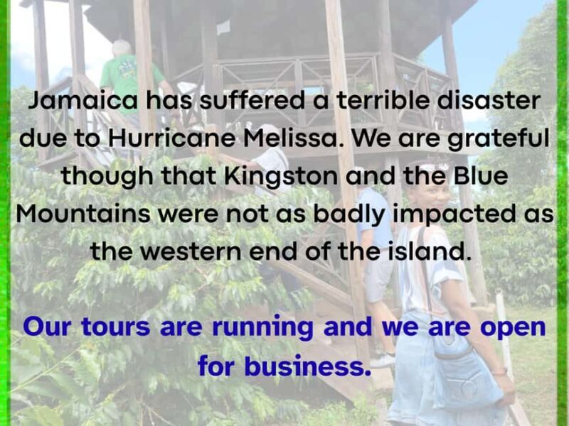 Kingston Blue Mountains Tour with Coffee Tasting - Authentic Experiences from Real Travelers