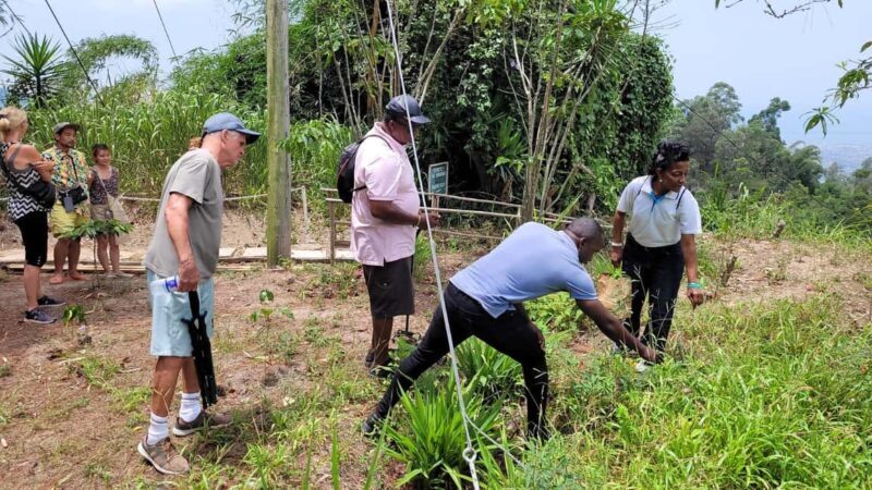 Kingston Blue Mountains Tour with Coffee Tasting - Final Thoughts
