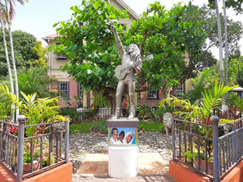 Kingston: Bob Marley Museum Tour from Montego Bay - Who Will Love This Tour?