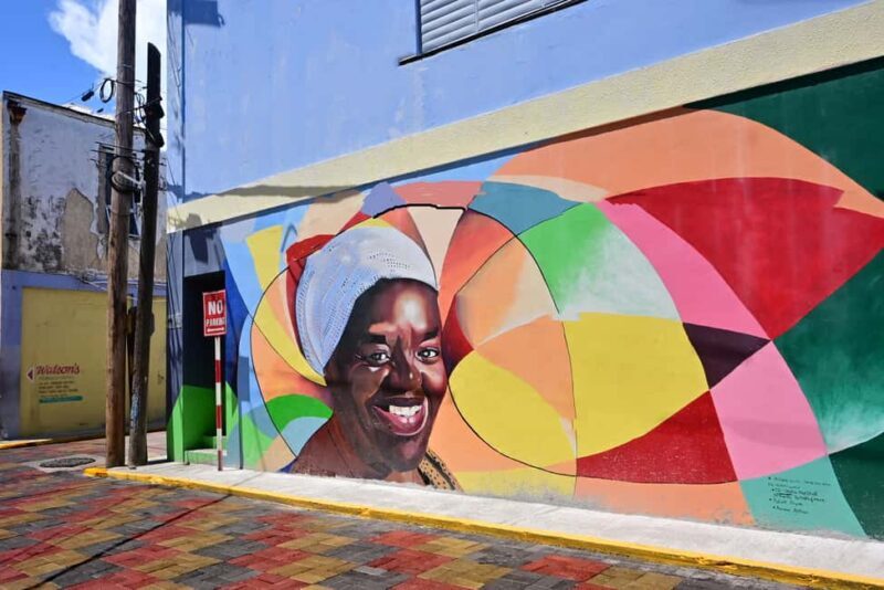 Kingston Creative: Mural Art Walking Tour - Authentic Encounters and Hidden Gems