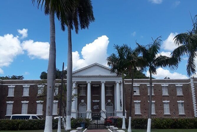 Kingston Day Trip From Ocho Rios - What to Expect on Your Kingston Day Trip  