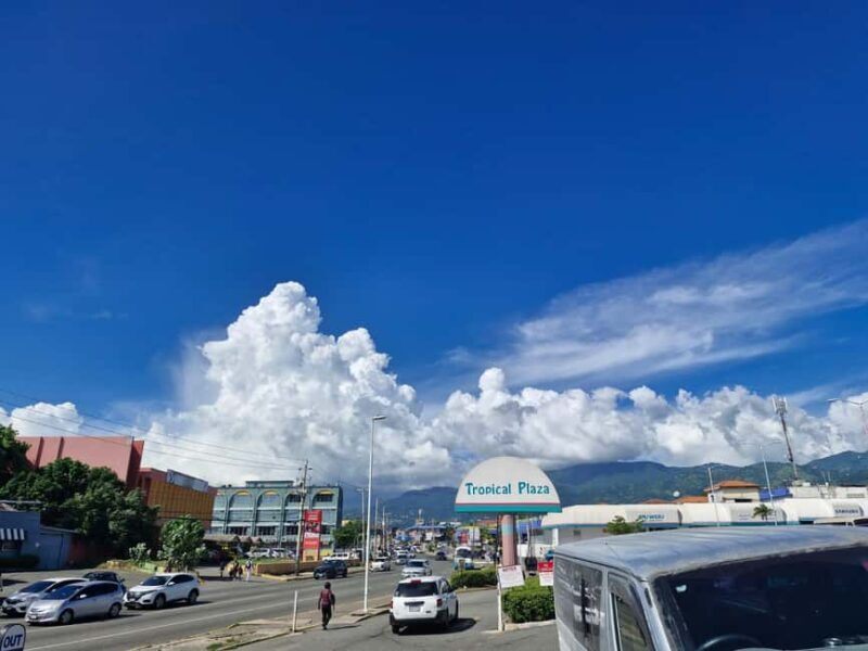 Kingston like a local  the authentic city tour - An authentic look into Kingston’s neighborhoods and culture