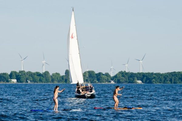 Kingston: Skippered Sailing Charter - Customer Reviews